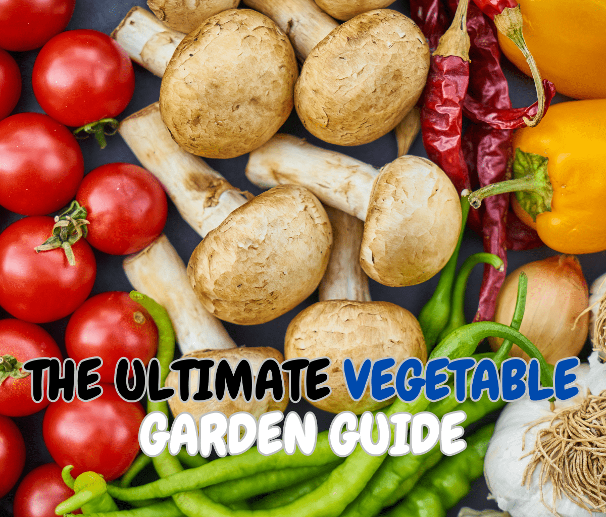 The Ultimate Vegetable Garden Guide