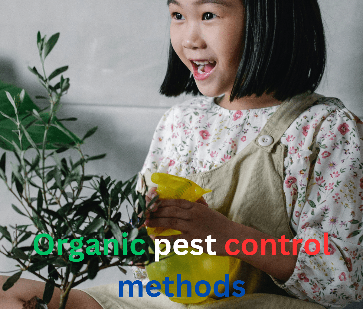Organic pest control methods for gardens